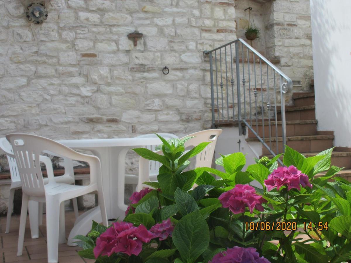 B&B Capo Le Vigne シローロ エクステリア 写真
